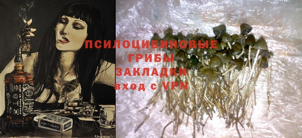 дурь Алексеевка