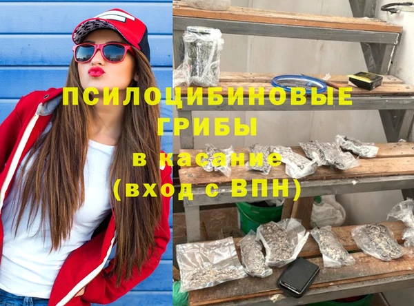 дурь Алексеевка