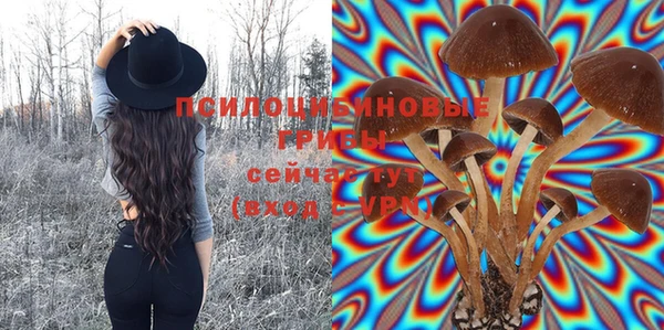 дурь Алексеевка