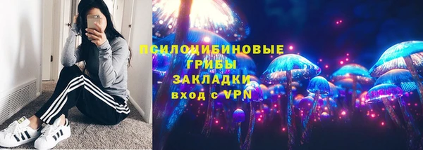 дурь Алексеевка