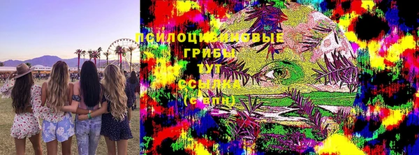 дурь Алексеевка