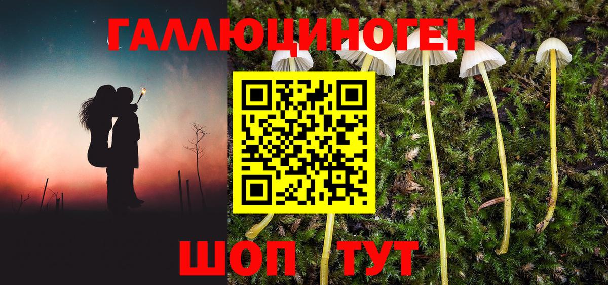 Лесосибирск  купить   Вход с VPN  Галлюциногенные грибы мицелий  Псилоцибиновые грибы MAGIC MUSHROOMS 